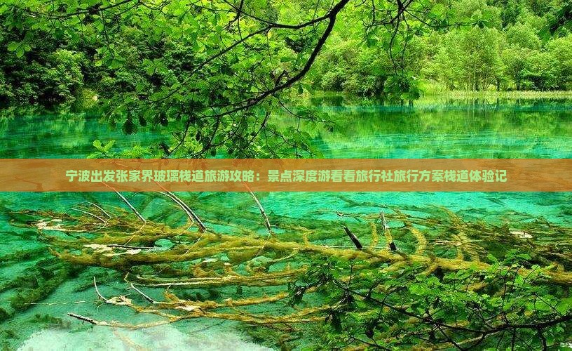 宁波出发张家界玻璃栈道旅游攻略：景点深度游看看旅行社旅行方案栈道体验记
