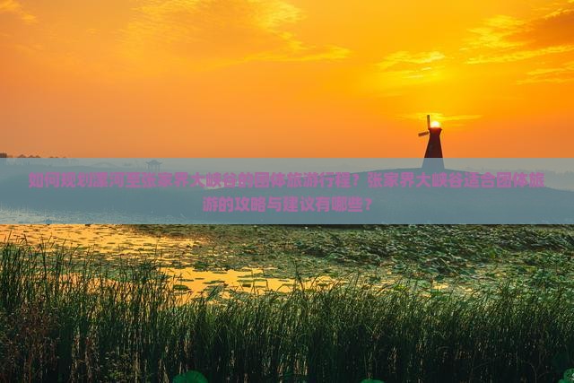 如何规划漯河至张家界大峡谷的团体旅游行程？张家界大峡谷适合团体旅游的攻略与建议有哪些？