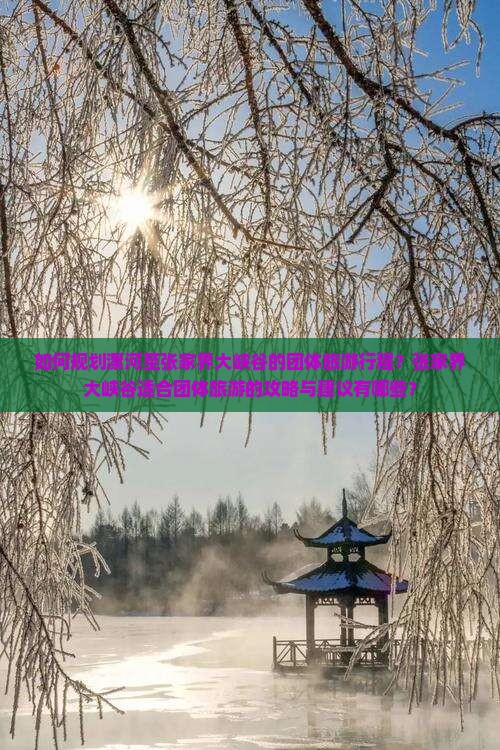 如何规划漯河至张家界大峡谷的团体旅游行程？张家界大峡谷适合团体旅游的攻略与建议有哪些？