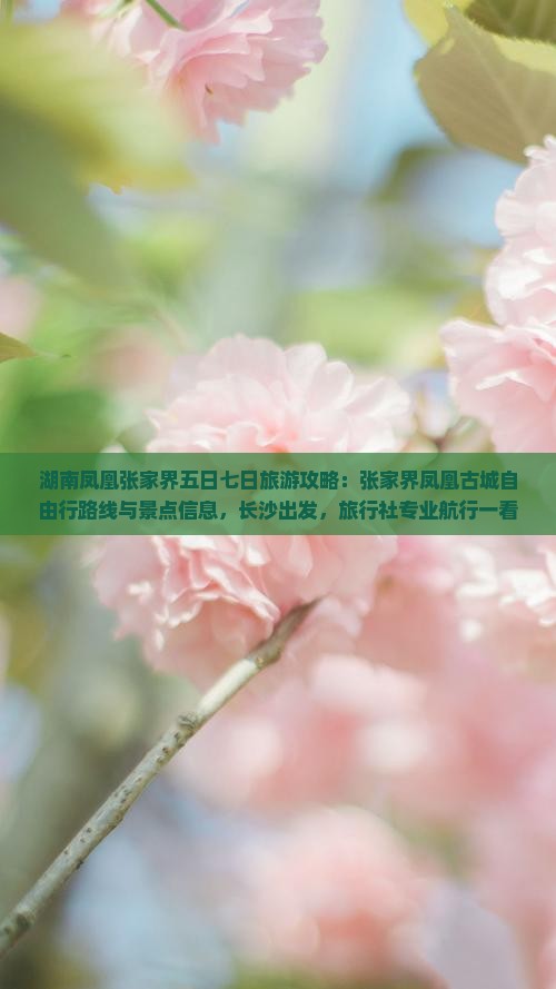 湖南凤凰张家界五日七日旅游攻略：张家界凤凰古城自由行路线与景点信息，长沙出发，旅行社专业航行一看便知