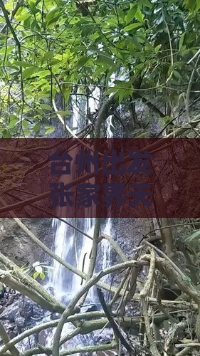 台州出发张家界天子山旅游一日游攻略