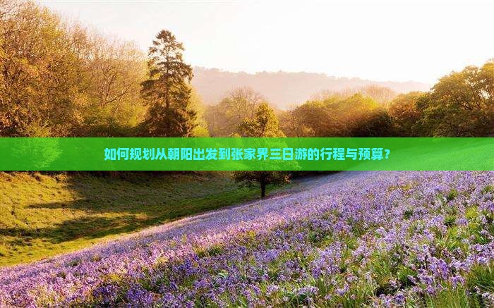 如何规划从朝阳出发到张家界三日游的行程与预算？