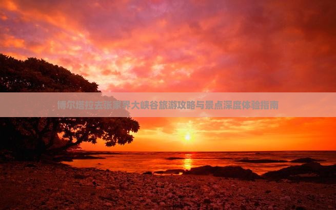 博尔塔拉去张家界大峡谷旅游攻略与景点深度体验指南
