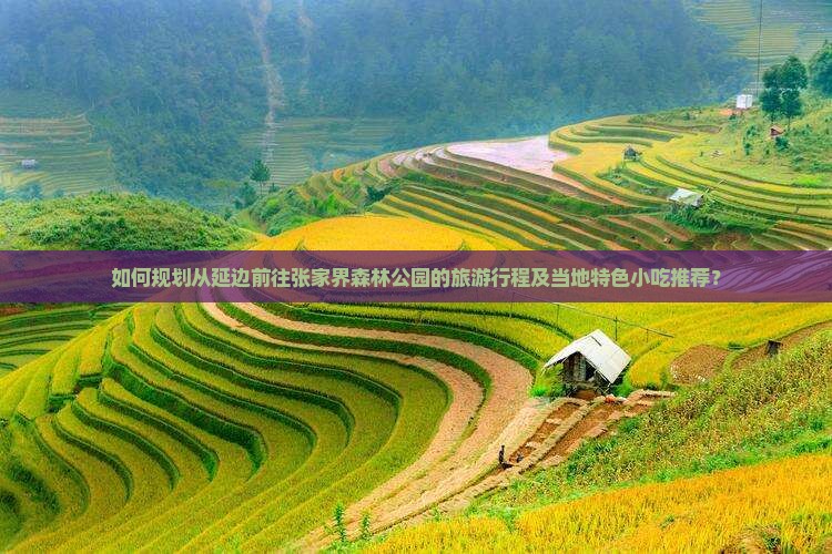 如何规划从延边前往张家界森林公园的旅游行程及当地特色小吃推荐？