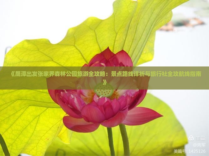 《鹰潭出发张家界森林公园旅游全攻略：景点路线详析与旅行社全攻航线指南》