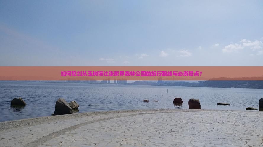 如何规划从玉树前往张家界森林公园的旅行路线与必游景点？