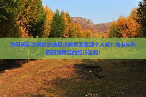 为何鹤岗游客纷纷选择张家界武陵源个人游？痛点与热词新词背后的旅行趋势！