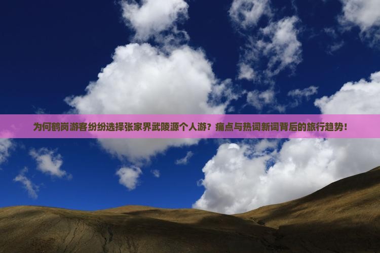 为何鹤岗游客纷纷选择张家界武陵源个人游？痛点与热词新词背后的旅行趋势！