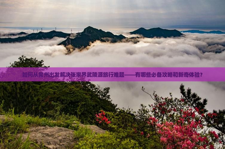 如何从常州出发解决张家界武陵源旅行难题——有哪些必备攻略和新奇体验？