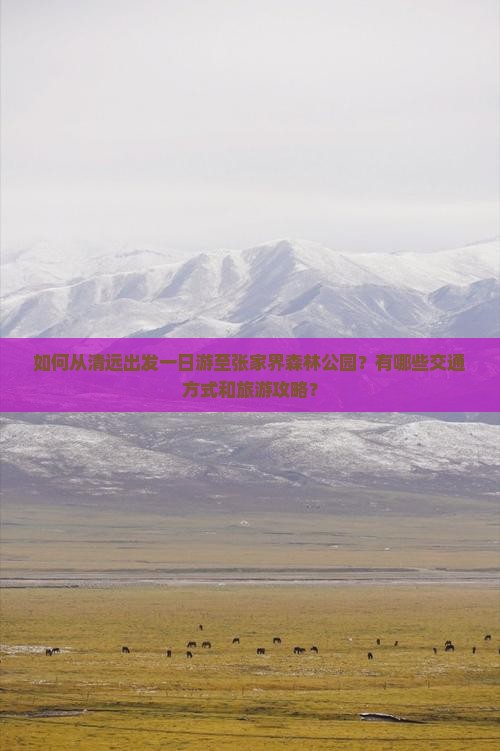 如何从清远出发一日游至张家界森林公园？有哪些交通方式和旅游攻略？