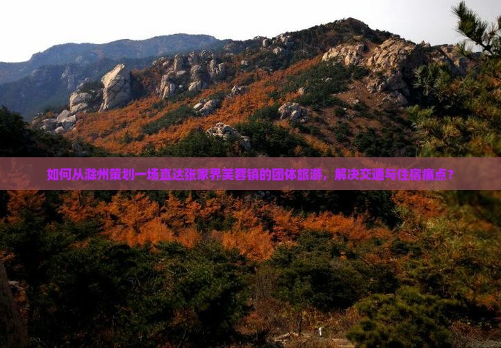 如何从滁州策划一场直达张家界芙蓉镇的团体旅游，解决交通与住宿痛点？