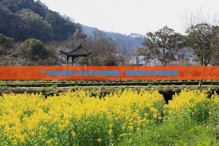 广元到张家界天子山景点交通路线、旅游报价及自驾游指南