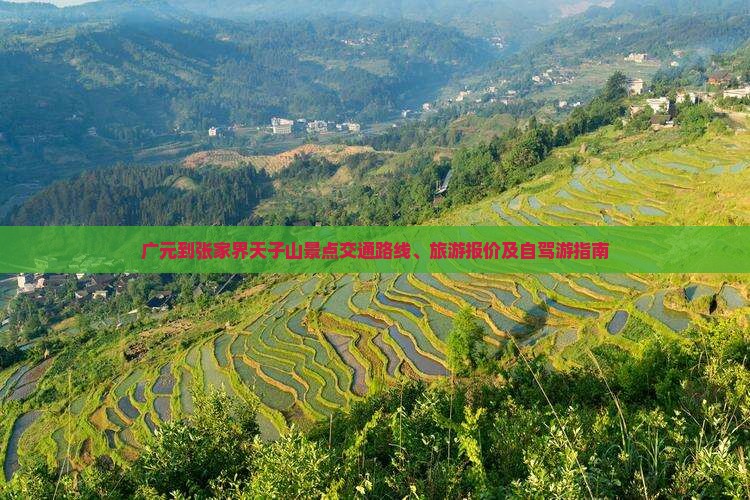 广元到张家界天子山景点交通路线、旅游报价及自驾游指南