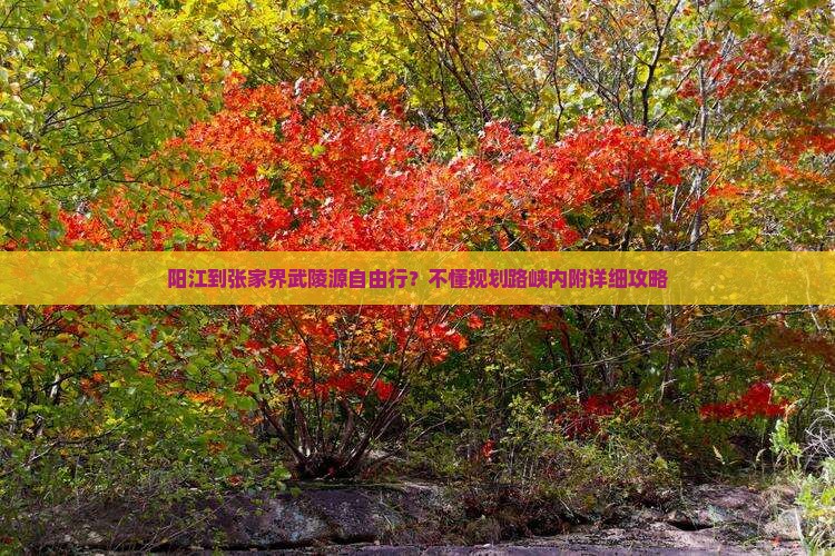阳江到张家界武陵源自由行？不懂规划路峡内附详细攻略
