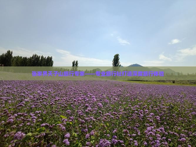 张家界天子山旅行专家——专业旅行社打造深度旅行体验