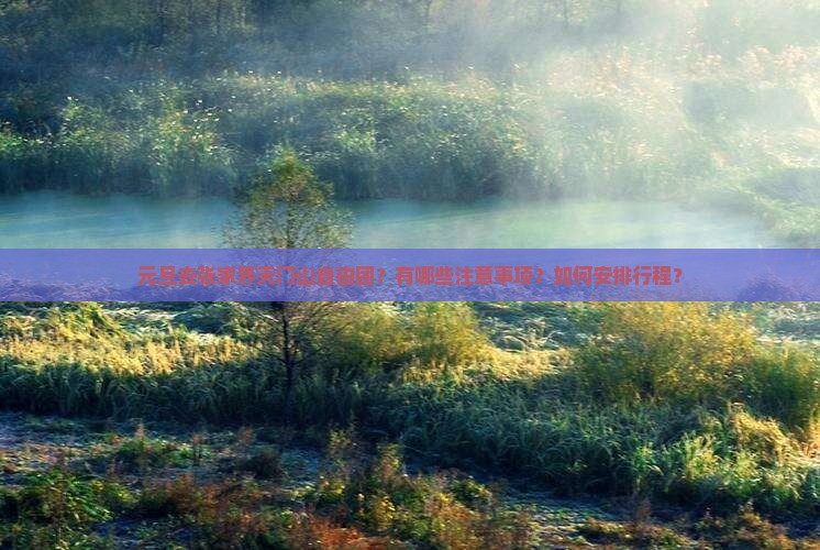 元旦去张家界天门山自由团？有哪些注意事项？如何安排行程？
