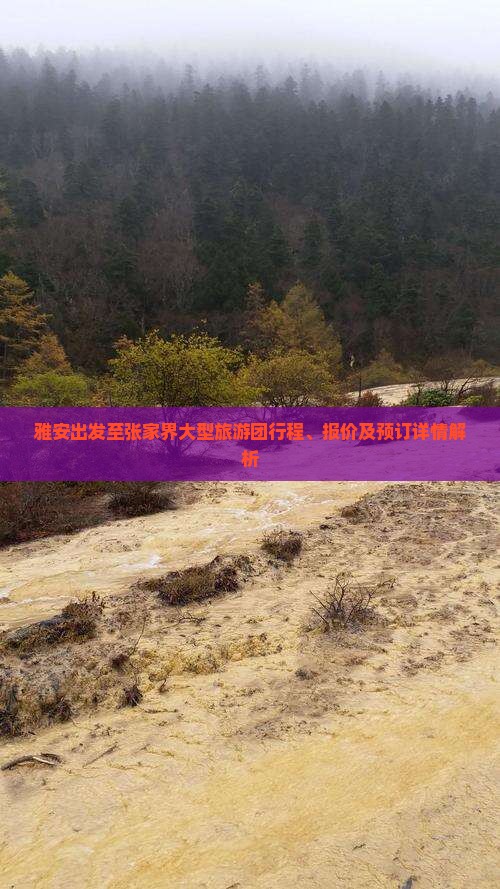 雅安出发至张家界大型旅游团行程、报价及预订详情解析