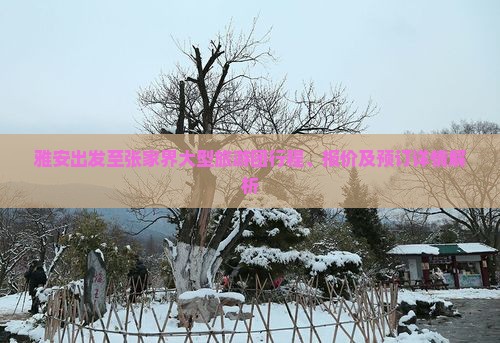 雅安出发至张家界大型旅游团行程、报价及预订详情解析