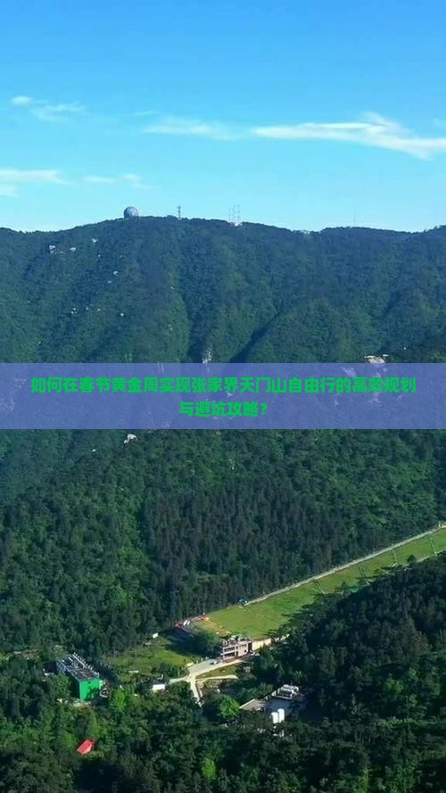 如何在春节黄金周实现张家界天门山自由行的高效规划与避坑攻略？