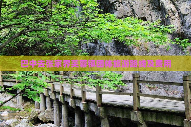 巴中去张家界芙蓉镇团体旅游路线及费用