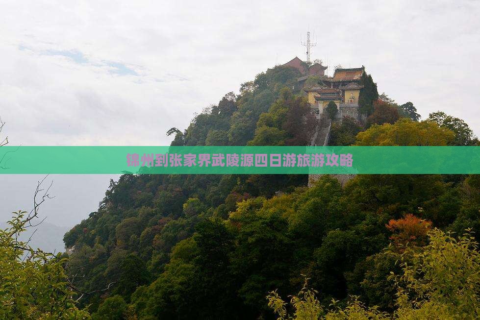 锦州到张家界武陵源四日游旅游攻略