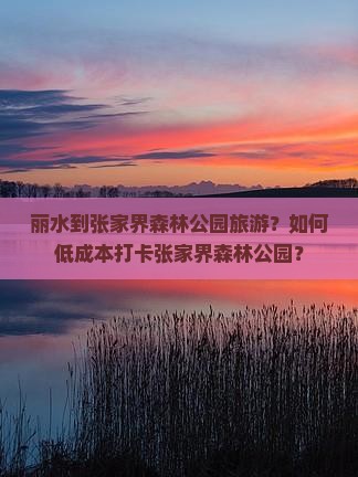 丽水到张家界森林公园旅游？如何低成本打卡张家界森林公园？