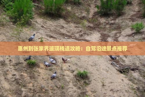 惠州到张家界玻璃栈道攻略：自驾沿途景点推荐