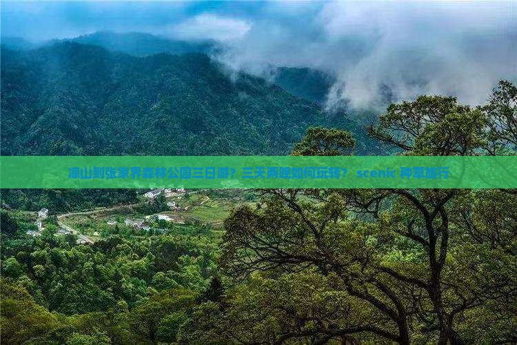 凉山到张家界森林公园三日游？三天两晚如何玩转？ scenic+种草旅行