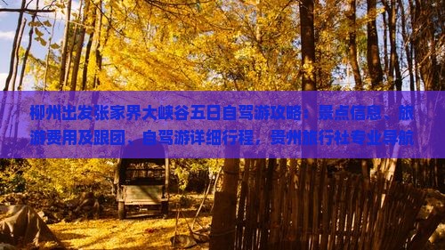 柳州出发张家界大峡谷五日自驾游攻略：景点信息、旅游费用及跟团、自驾游详细行程，贵州旅行社专业导航