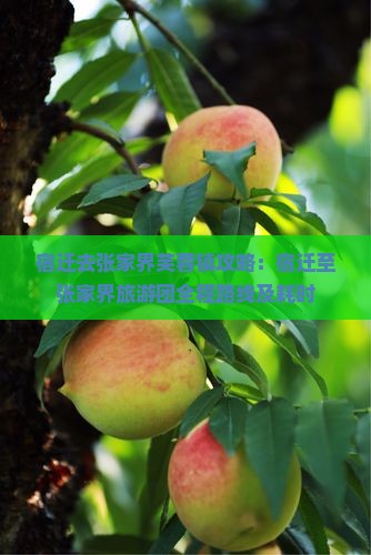 宿迁去张家界芙蓉镇攻略：宿迁至张家界旅游团全程路线及耗时