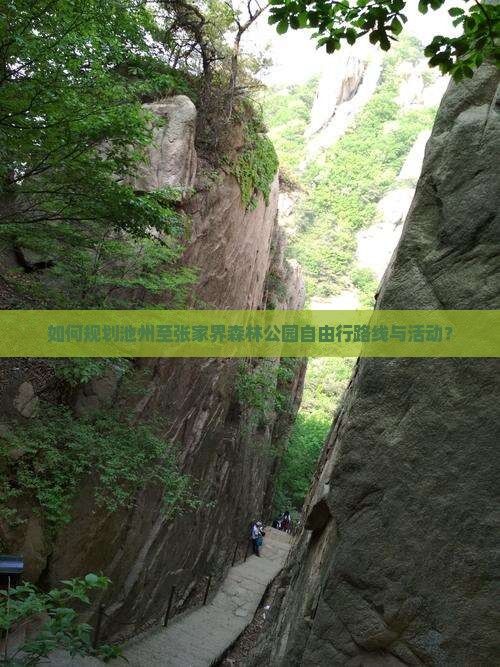 如何规划池州至张家界森林公园自由行路线与活动？