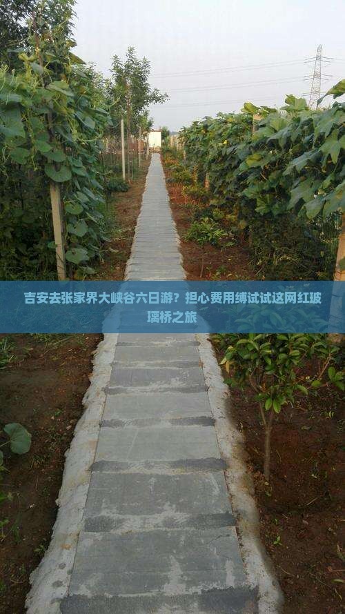吉安去张家界大峡谷六日游？担心费用缚试试这网红玻璃桥之旅