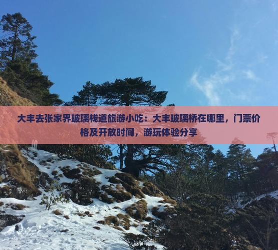 大丰去张家界玻璃栈道旅游小吃：大丰玻璃桥在哪里，门票价格及开放时间，游玩体验分享