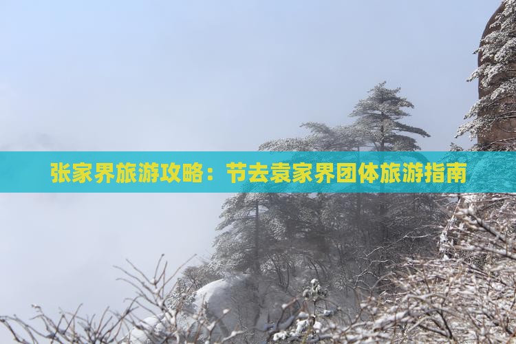 张家界旅游攻略：节去袁家界团体旅游指南