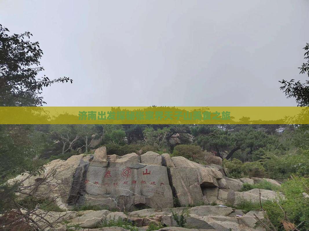 济南出发探秘张家界天子山美食之旅