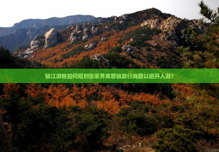 镇江游客如何规划张家界芙蓉镇旅行线路以避开人潮？