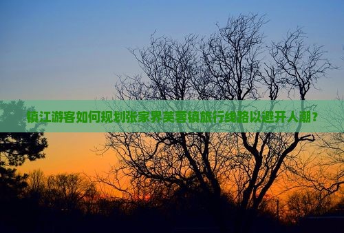 镇江游客如何规划张家界芙蓉镇旅行线路以避开人潮？