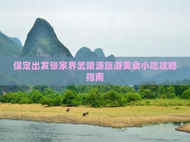 保定出发张家界武陵源旅游美食小吃攻略指南