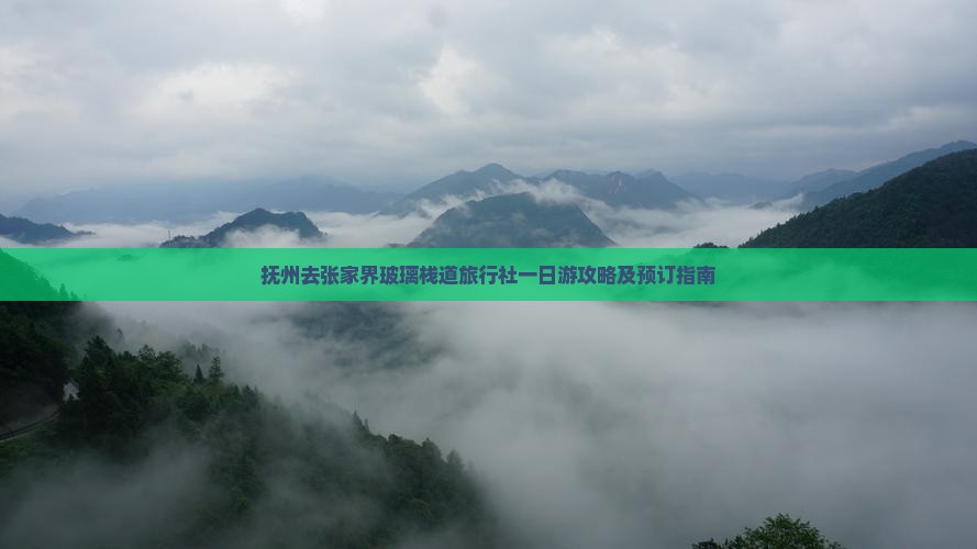 抚州去张家界玻璃栈道旅行社一日游攻略及预订指南
