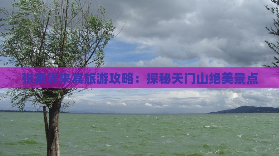 张家界来宾旅游攻略：探秘天门山绝美景点