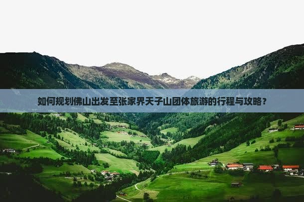 如何规划佛山出发至张家界天子山团体旅游的行程与攻略？