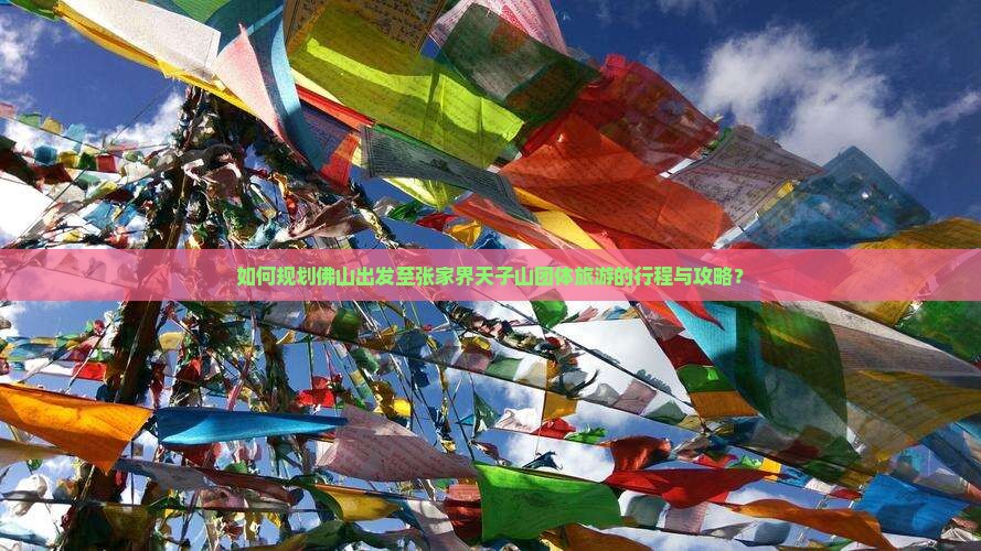如何规划佛山出发至张家界天子山团体旅游的行程与攻略？