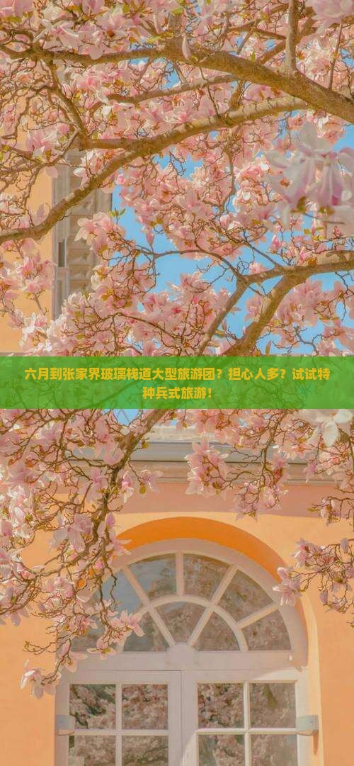 六月到张家界玻璃栈道大型旅游团？担心人多？试试特种兵式旅游！