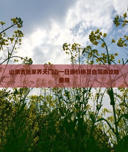 山南去张家界天门山一日游价格及自驾游攻略费用