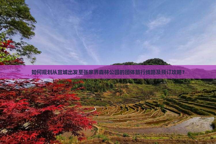 如何规划从宣城出发至张家界森林公园的团体旅行线路及预订攻略？