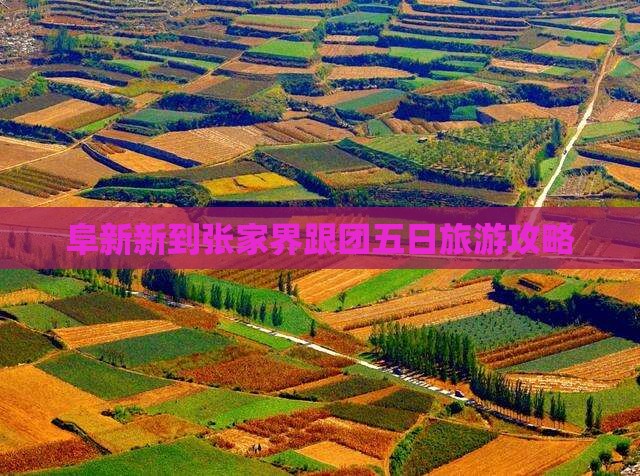 阜新新到张家界跟团五日旅游攻略