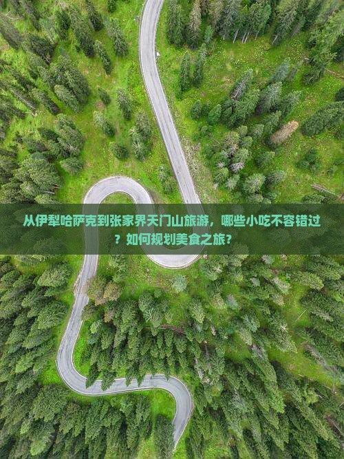 从伊犁哈萨克到张家界天门山旅游，哪些小吃不容错过？如何规划美食之旅？