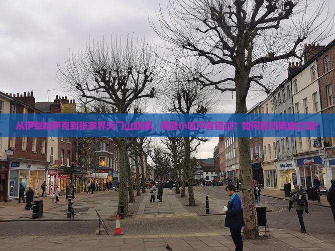 从伊犁哈萨克到张家界天门山旅游，哪些小吃不容错过？如何规划美食之旅？