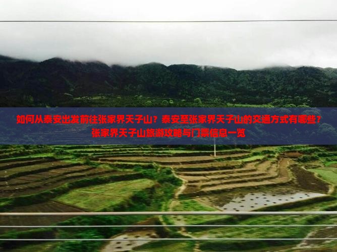 如何从泰安出发前往张家界天子山？泰安至张家界天子山的交通方式有哪些？张家界天子山旅游攻略与门票信息一览