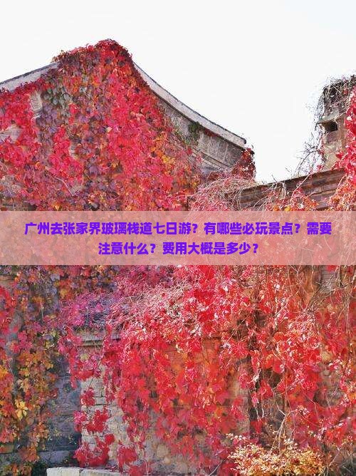 广州去张家界玻璃栈道七日游？有哪些必玩景点？需要注意什么？费用大概是多少？